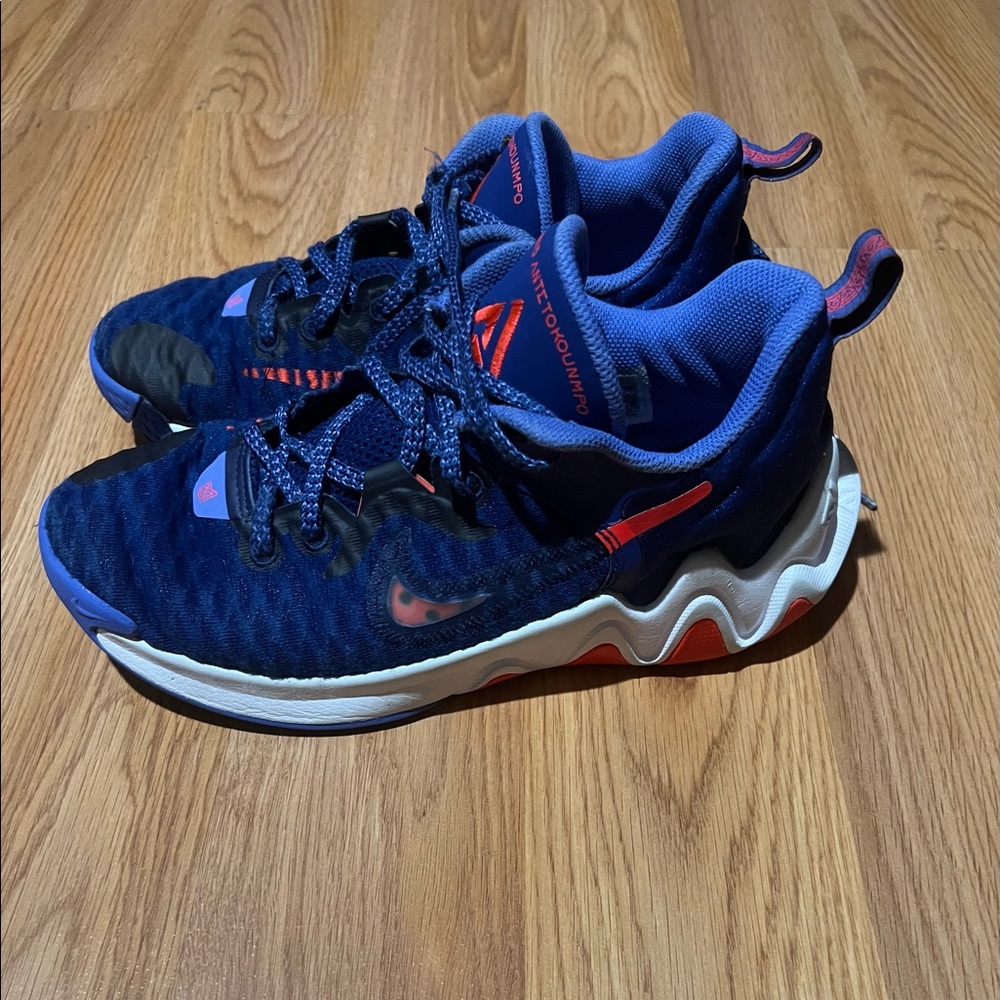 NIKE GIANNIS IMMORTALITY Youth Boys basketball shoes